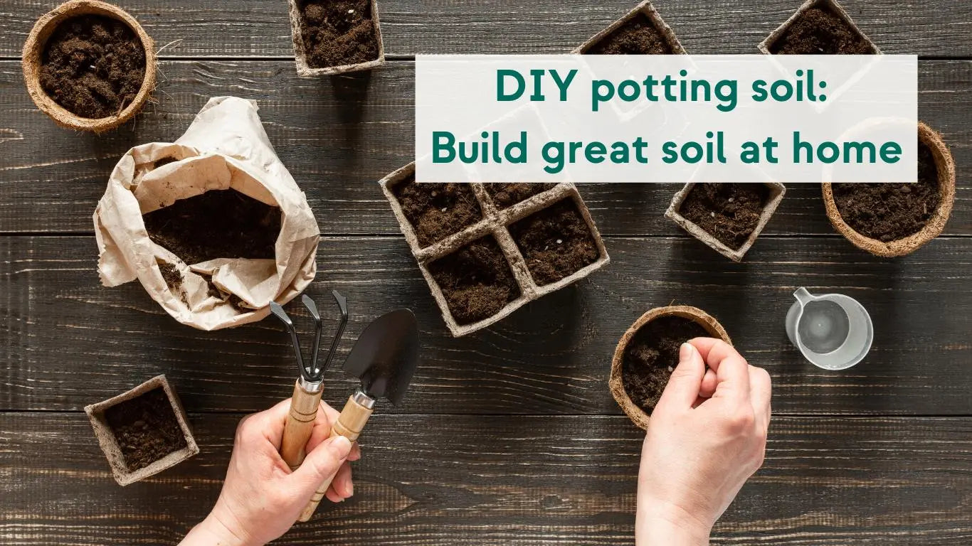 DIY potting soil: Simple ways to get great soil at home - KORU ONE