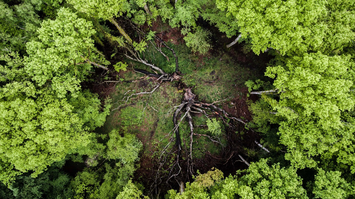 How Circular Economy Can Change The World - design, sustainability
