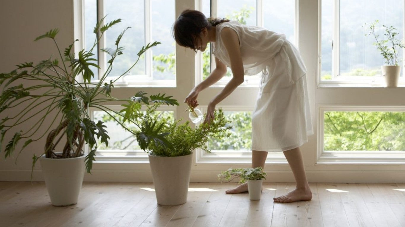 3 Smart Tips for Cleaner Indoor Air at Home - air quality, health