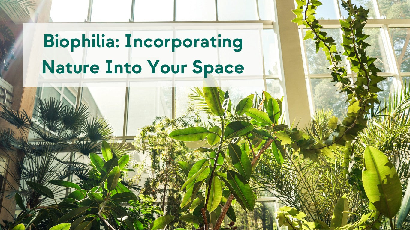 biophilia design plants