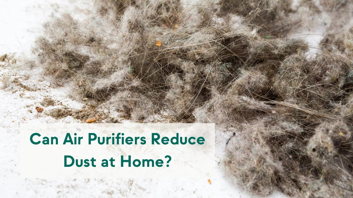 Does An Air Purifiers Help With Dust at Home? - KORU ONE