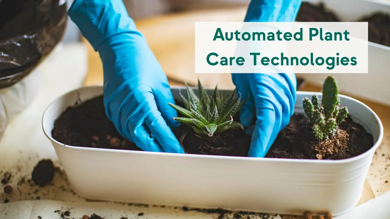 Automated Plant Care Technologies, How Do They Work? - KORU ONE