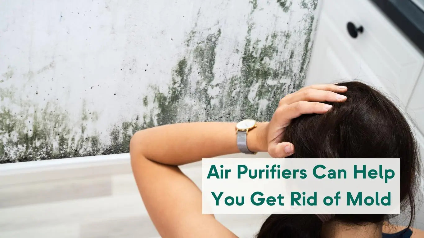 Air Purifiers Can Help You Get Rid of Mold at Home - KORU ONE