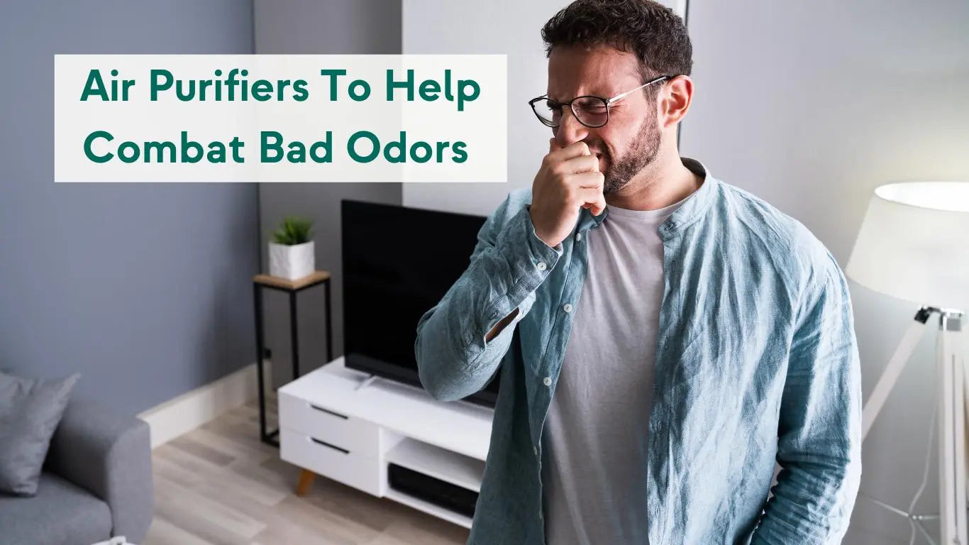 Air Purifiers for Smell Can Help You Combat Bad Odors - KORU ONE