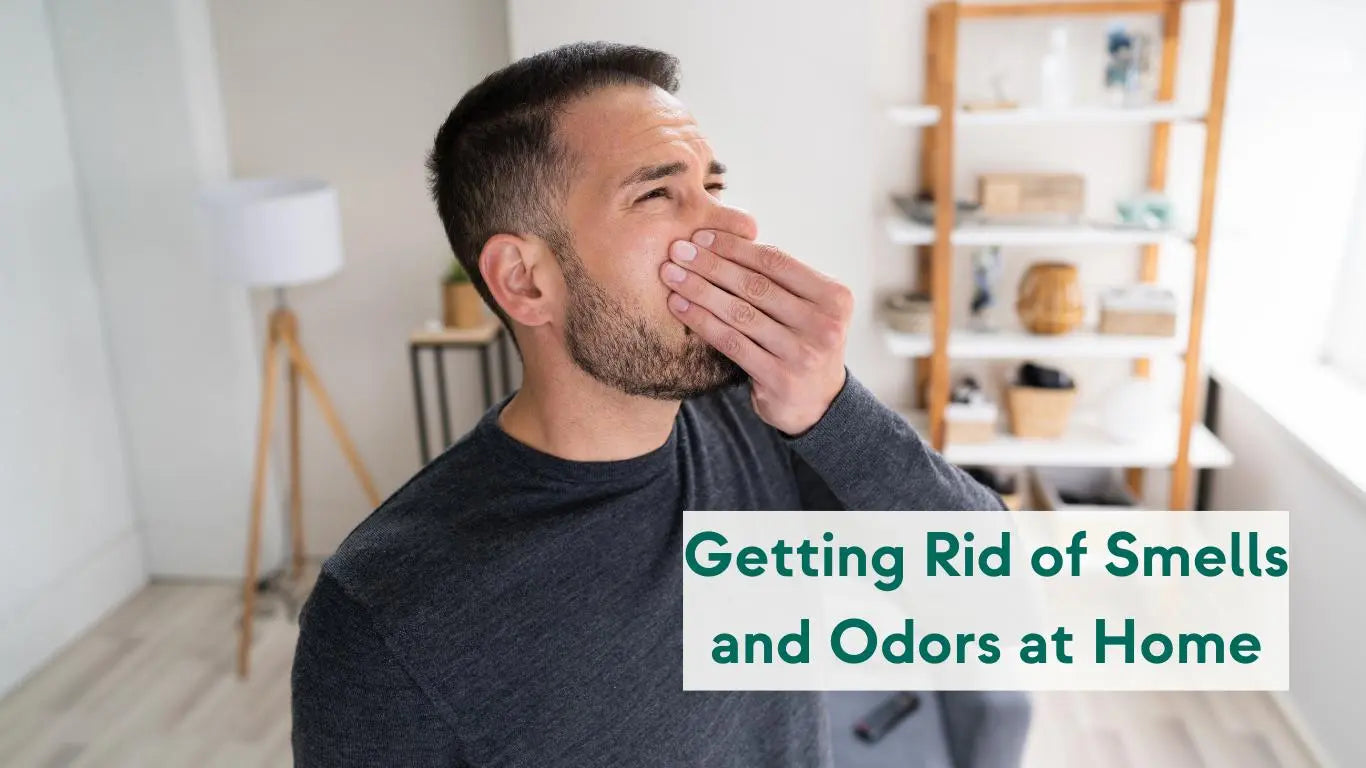 How to Identify and Eliminate Lingering Odors in Your Home? - KORU ONE