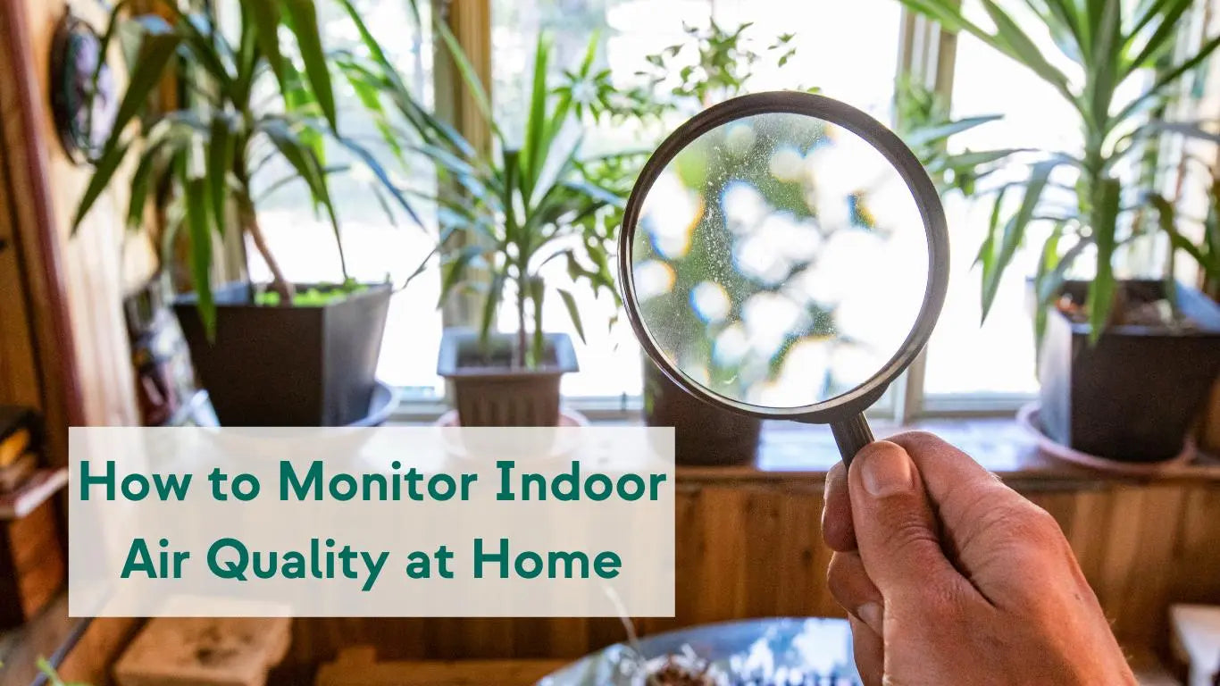 How to Monitor Indoor Air Quality (IAQ) at Home - KORU ONE