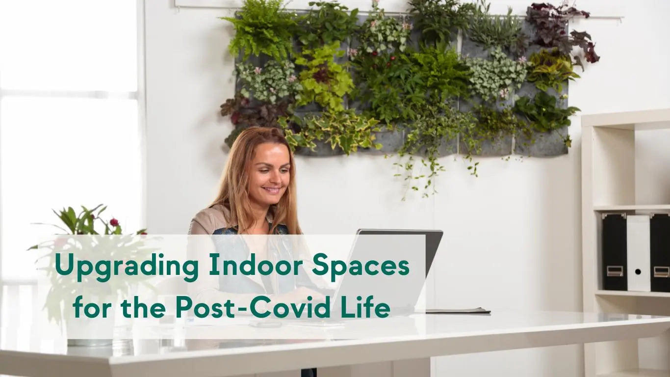 Upgrading Indoor Spaces for the Post-Covid Life - KORU ONE