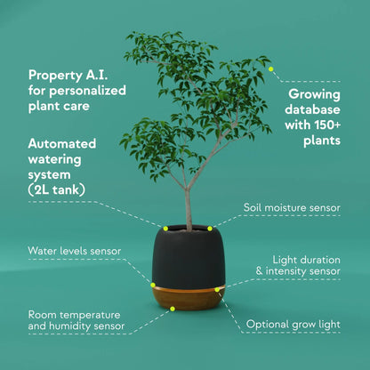 KORU ONE | Cork Botany Labs S.L.