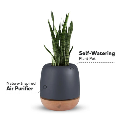 air force 1 plant pot KORU ONE